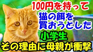 100円を持って猫の餌を買おうとした小学生。その理由に母親が衝撃【猫の不思議な話】【朗読】