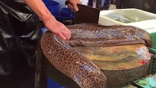 How Fishermen Breed Eels And Process Eel Products-Japanese Eel Processing Factory