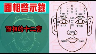 方榮與大姑媽 Ep.195 - 面相啟示錄1 面相的十二宮，是以不同的宮位，透過分析，去表示人生中各種運勢、關係的成敗吉凶。