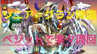 [パズドラ]ソニア＝グラン降臨　ベジット