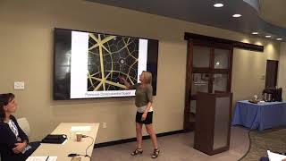 The Idea of Beauty Series: Mathematics and The Natural Sciences