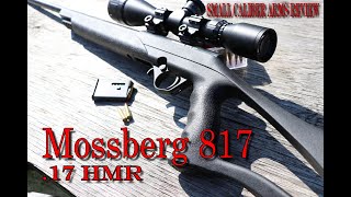 Mossberg 817 an inexpensive lightweight bolt action .17 HMR