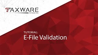 Tutorial - E-File Validation and Schema Errors