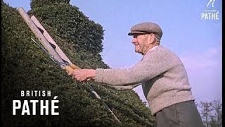 Tree House Aka Yew Tree House (1962)