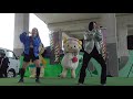 歌って踊るスーパーユニット、shine girls　「like that 」　izumiotsu street festa もんとパーク　２０２１年１０月２３日