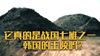 多次被盗的无名大墓竟是韩王陵？这个神秘的地下世界究竟是什么样？《考古中华 河南篇》新郑韩王陵（上）| 中华国宝