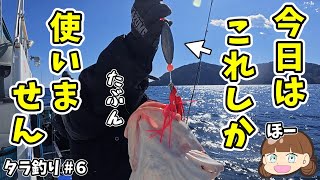 【タラ釣り #6】今日はコレしか使わないっ！！たぶん