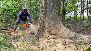 Full of obstacles... Cut down 3 trees in the rain and strong winds.