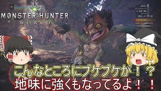 【MHW】ぼっちハンターがいくモンハンワールド！【ゆっくり実況】part18