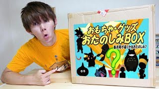 3000円お楽しみBOX２つの中身紹介！夏休みスペシャル！おもちゃverアニメver