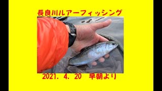 パパ釣りに行く2021③～長良川早朝より～