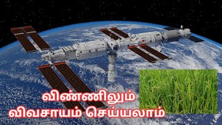 விண்வெளியில் விவசாயம்