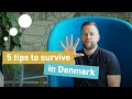 Study in Denmark: 5 tips you should know