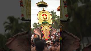 തിരുവമ്പാടി ചന്ദ്രശേഖരൻ❤️| thiruvambady chandrasekharan|kerala elephants|Aana|pooram|#elephants