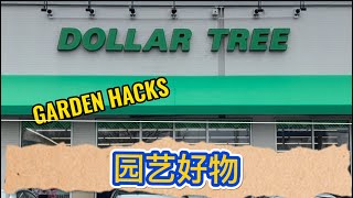 【好物分享】一元店探宝园艺用品，这些妙招你想到了吗？dollar tree garden hacks 2024