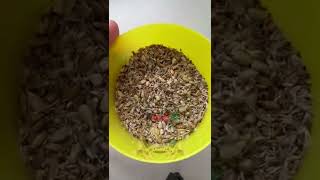 سهره،سایره،چوکر،goldfinche seed