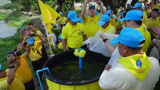 จังหวัดลำพูน จัดกิจกรรมจิตอาสาพัฒนา ข่าวในพระราชสำนัก วันที่ ๑๓ พฤษภาคม ๒๕๖๗