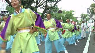 ゆすはら　　高知よさこい　2023.8.10　追手筋本部競演場