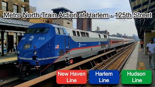 Metro North Train Action @ Harlem - 125th Street (All Lines)