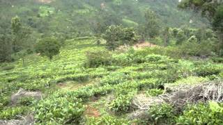 kotagiri kannerimooku village land