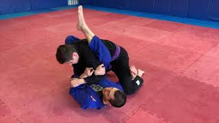 Flower Sweep to Omoplata