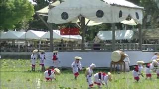 【大阪】住吉大社 御田植神事 2017 （１） ～ダイジェスト～　Sumiyoshi Taisha Rice Planting Festival 2017.6.14