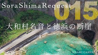 【リクエスト015】大和村名音と徳浜の断崖（ドローン空撮 4K）