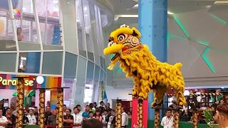 Acrobatic lion dance by Penang Ching Xing team at the 19th Malaysia Lion Dance Championship