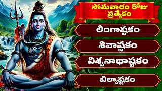 సోమవారం ప్రత్యేకం | లింగాష్టకం | శివాష్టకం | విశ్వనాథాష్టకం | Lord Shiva Songs With Lyrics