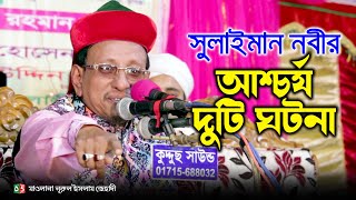 সুলাইমান নবীর আশ্চর্য দুটি ঘটনা | মাওলানা মুহাম্মদ নূরুল ইসলাম জেহাদী | 01711-353616 | Pak Panjatan