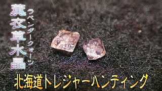 薫衣草水晶 ～ラベンダークォーツ～【北海道トレジャーハンター】第２１回