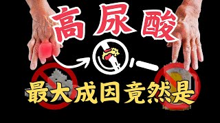 痛風年轻化｜第一大成因竟然是...｜高普林不能碰？｜降尿酸的關鍵不在吃！