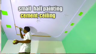 Best colour living  small  hall painting  with  cement-ceiling / interior  wall color