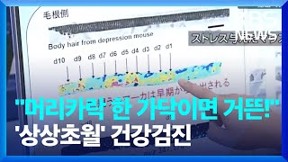 [글로벌K] \