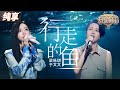 【纯享版】梁咏琪&于文文《行走的鱼》 两个极具辨识度的嗓音完美交织 一字一句都在触动着灵魂！#天赐的声音5 EP7 20240607