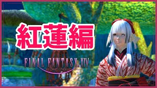 【FF14】魔剣士、ヒカセンになる#22【新人VTuber】