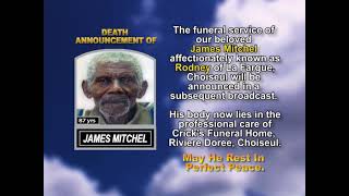 James Mitchel short
