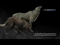 Skyrim not so epic moments
