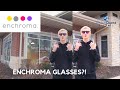 Enchroma Glasses- Do they work?