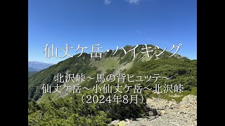 仙丈ヶ岳ハイキング　2024年8月　長衛小屋のテント場から、仙丈ヶ岳、小仙丈ヶ岳へ登山の記録