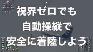 A320neoのILSの使い方をまとめてみた！ #MSFS2020