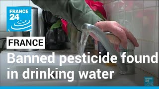 Traces of banned pesticide found in French drinking water • FRANCE 24 English