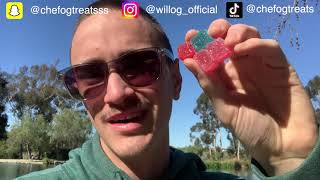 Delta North Gummies Review | Is Delta 8 Worth Buying? Day at the Park w/ WillOG