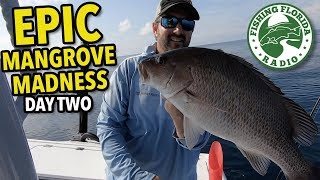 EPIC Mangrove MADNESS - Panama City Beach Nearshore Fishing with Captain Phillip Wilds