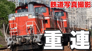 【鉄道写真】DD51堂々の重連！昼下がりのJR神戸線を走るDD51重連工臨を撮影する！