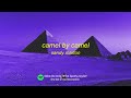 sandy marton camel by camel zone tan ankha music animal crossing egyptian cat song