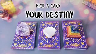 Your Destiny → Pick A Crystal • What is Written in your destiny • Tarot Reading ☾ Psychic reading☽