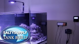 Salty Supply Tank Build Part 5 - Quick Apex Equipment Setup