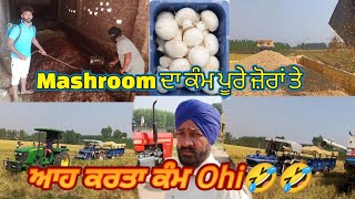 ਆਹ ਕਰਤਾ ਕੰਮ ohi🤣/ਟਰੈਕਟਰ ਫਸ ਗਿਆ/Mashroom ਦਾ ਕੰਮ ਪੂਰੇ ਜ਼ੋਰਾਂ ਤੇ/ਘੋੜਿਆਂ ਦੀਆਂ ਦੌੜਾਂ/ Jagga Mahlan