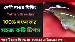 মাগুর ব্রিডিং 100% সফলতার জন্য টিপস। Tip's for 100% success in Catfish Breeding.